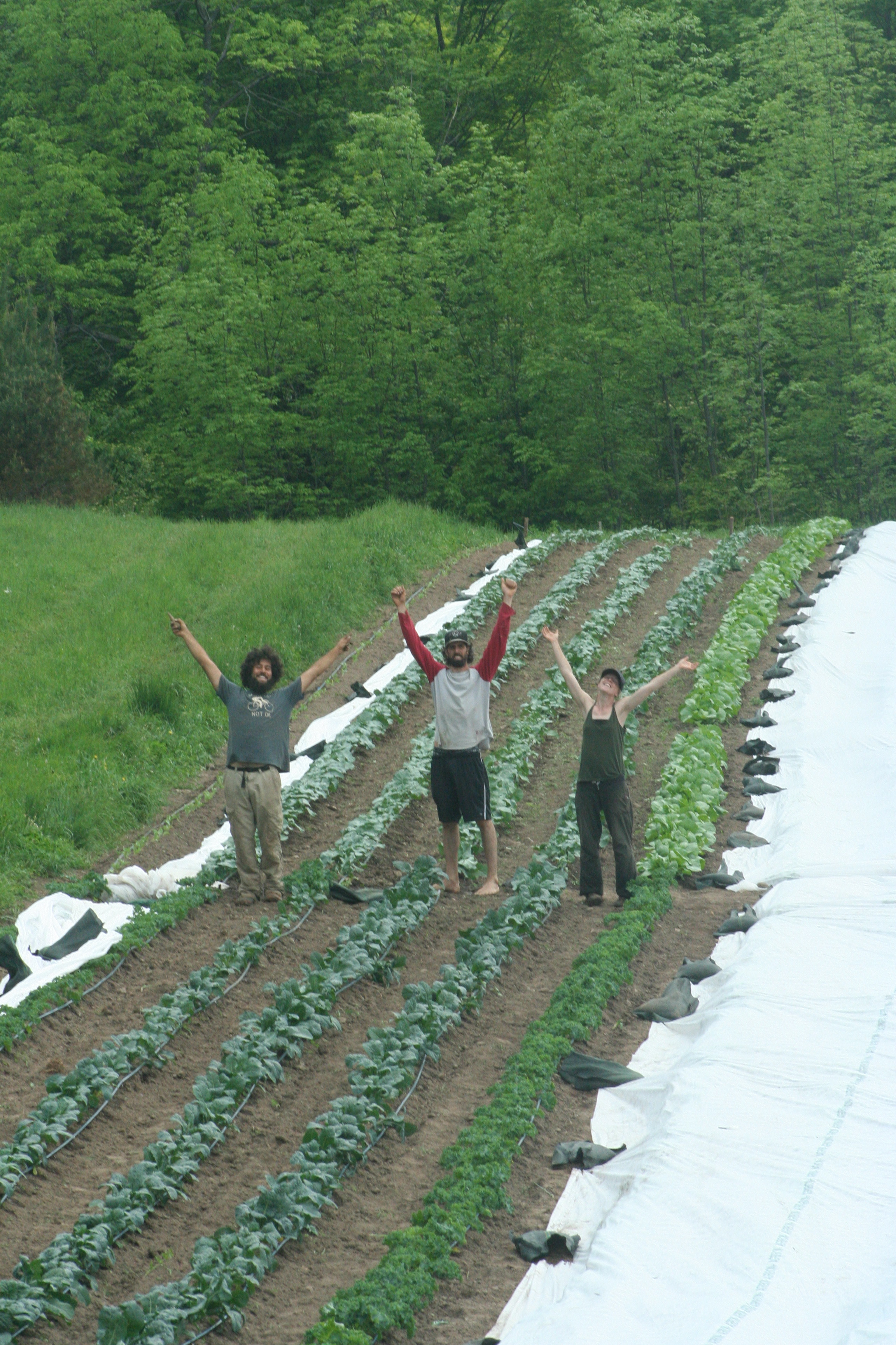 Foot Farm Farm Apprenticeships – NOW HIRING! – Fiddle Foot Farm